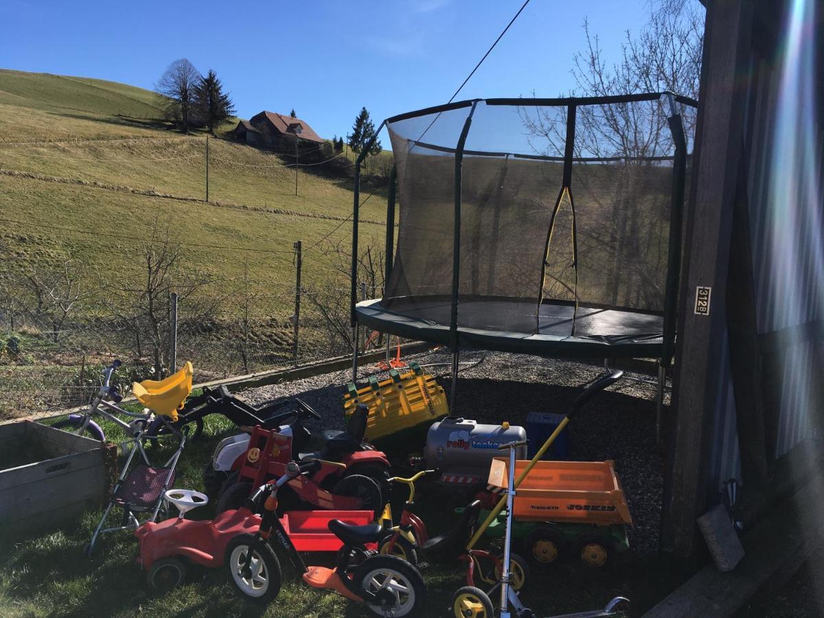 3,5 Zimmerferienwohnung Schwalbenaescht Appartement Rüeggisberg